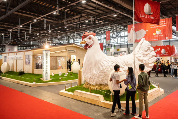 Les Automnales 2021 @TomekGola