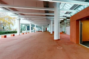 Capture-e1635714517225